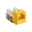 FMT640-R3: Yellow, 1 unit